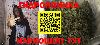 каннабис Бердск