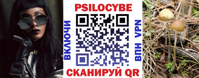 Псилоцибиновые грибы прущие грибы  Азнакаево 