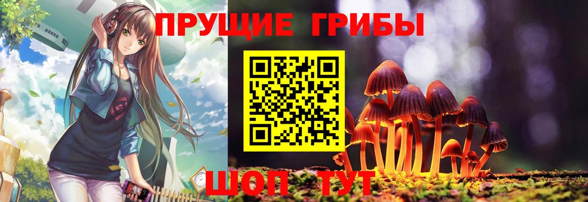Псилоцибиновые грибы прущие грибы  Галлюциногенные грибы GOLDEN TEACHER  Азнакаево  Вход с VPN 